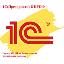 1С:Предприятие 8.3. Сервер МИНИ на 5 подключений. Электронная поставка